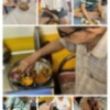 Maitri Charitable Trust, Dombivli East - Image 4