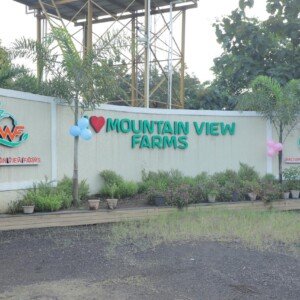 Karjat | Mountain View Farms | Day Picnic | Pool, Meals & Activities from Rs. 1,000/- to Rs. 1,500/-